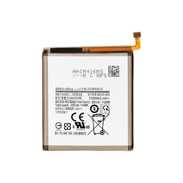 ss_a405_batt.jpg