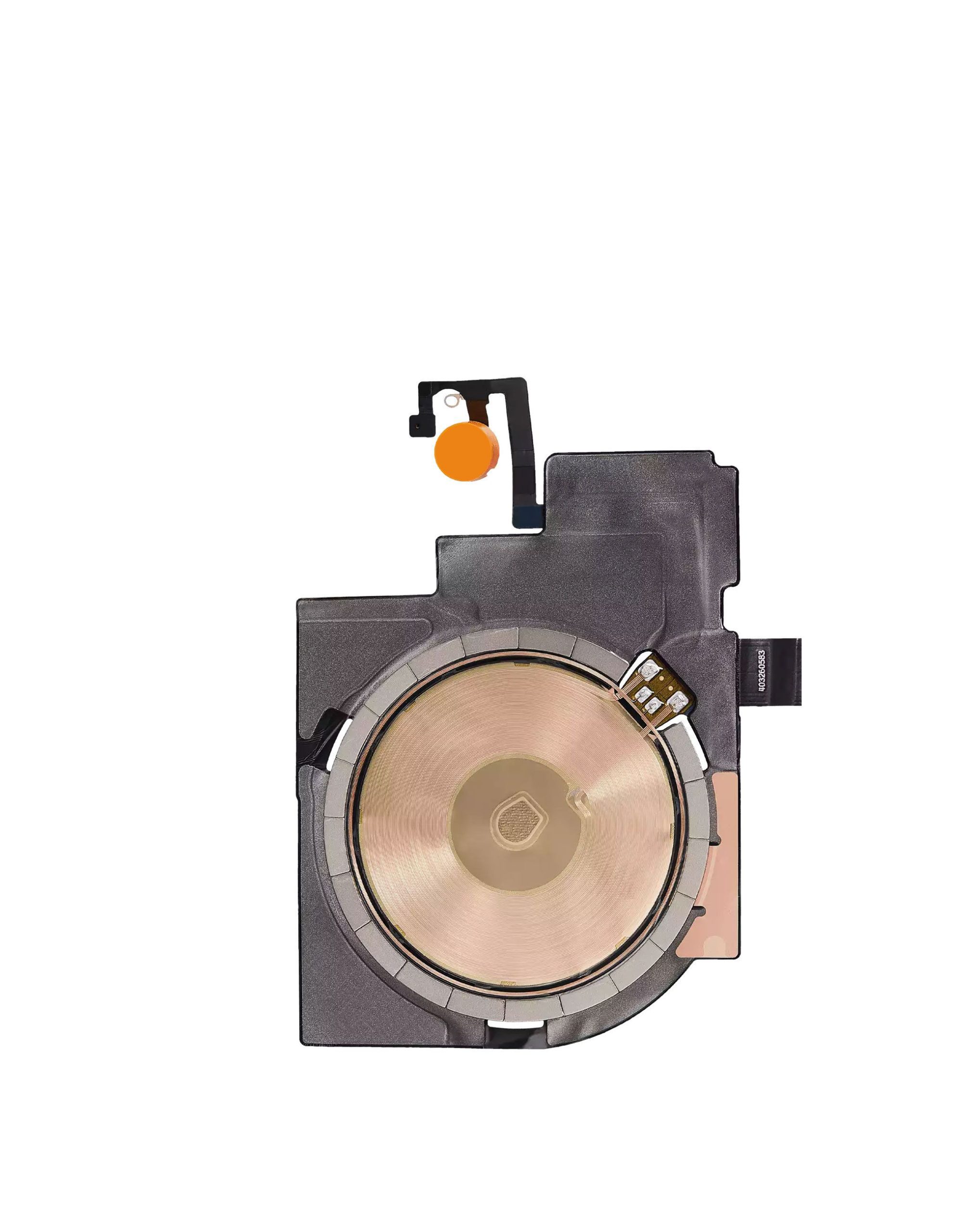 ip16_nfc_wbfl.jpg ip16_nfc_wbfl.jpg